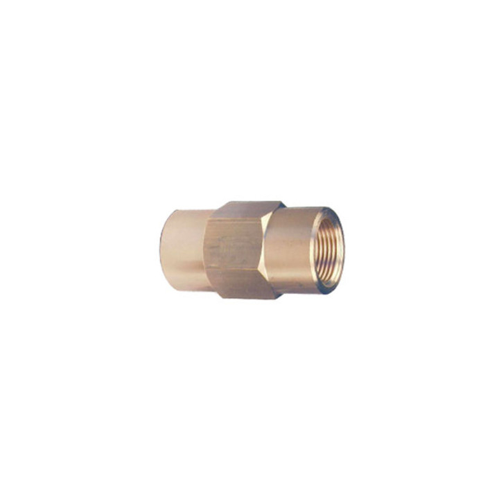 Check valve 1 / 4F 1 / 4F yellow brass - Tierregroup - H2O Water Store