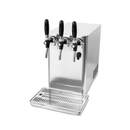 Petit Ice Bierzapfanlage 50 WG - H2O Water Store