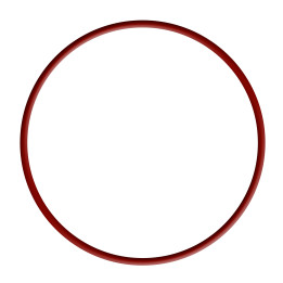 O-ring Serbatoio Caldo