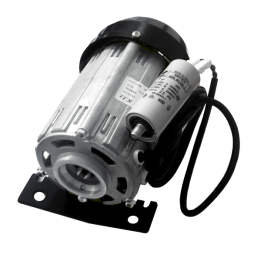 Motore elettrico per pompa paletta 200 lt/h